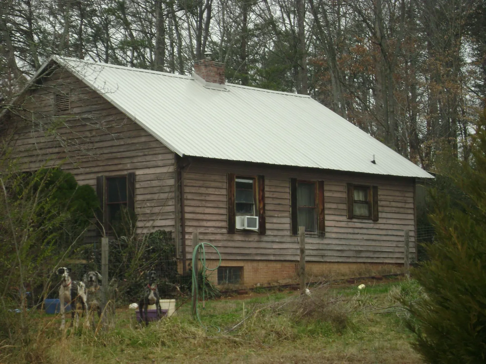White metal roof on an old wood sided farmhouse, from a Metal Roof Installation job in Ennis
